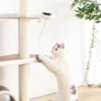 Pet Cat Toy Electronic Motion Cat Toy Interactive - Mag Max Mart