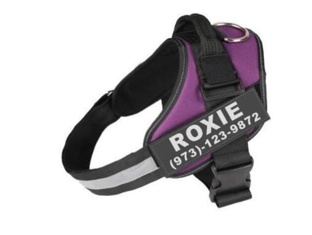 Personalized Custom Reflective Breathable Dog Harness NO PULL Adjustable Pet Harness For Small Large Dog Harness Vest With Patch - MAGM Enterprises LLC