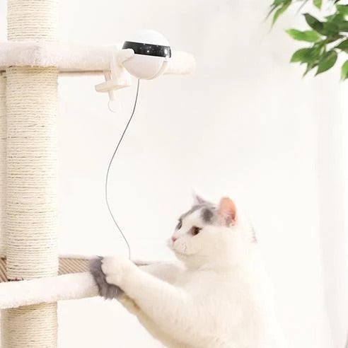 Pet Cat Toy Electronic Motion Cat Toy Interactive - Mag Max Mart