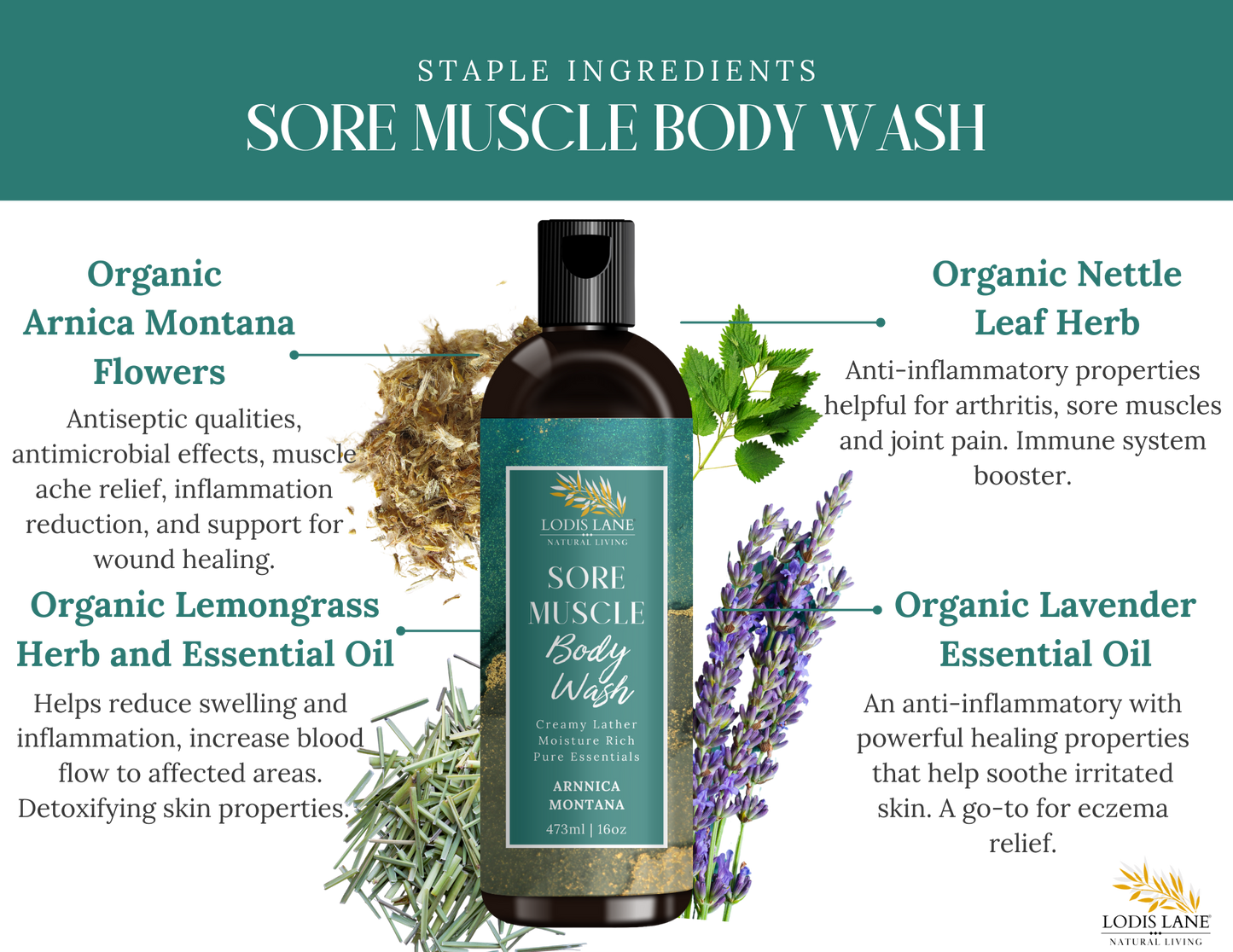 Arnica Montana Sore Muscle Body Wash - MAGM Enterprises LLC