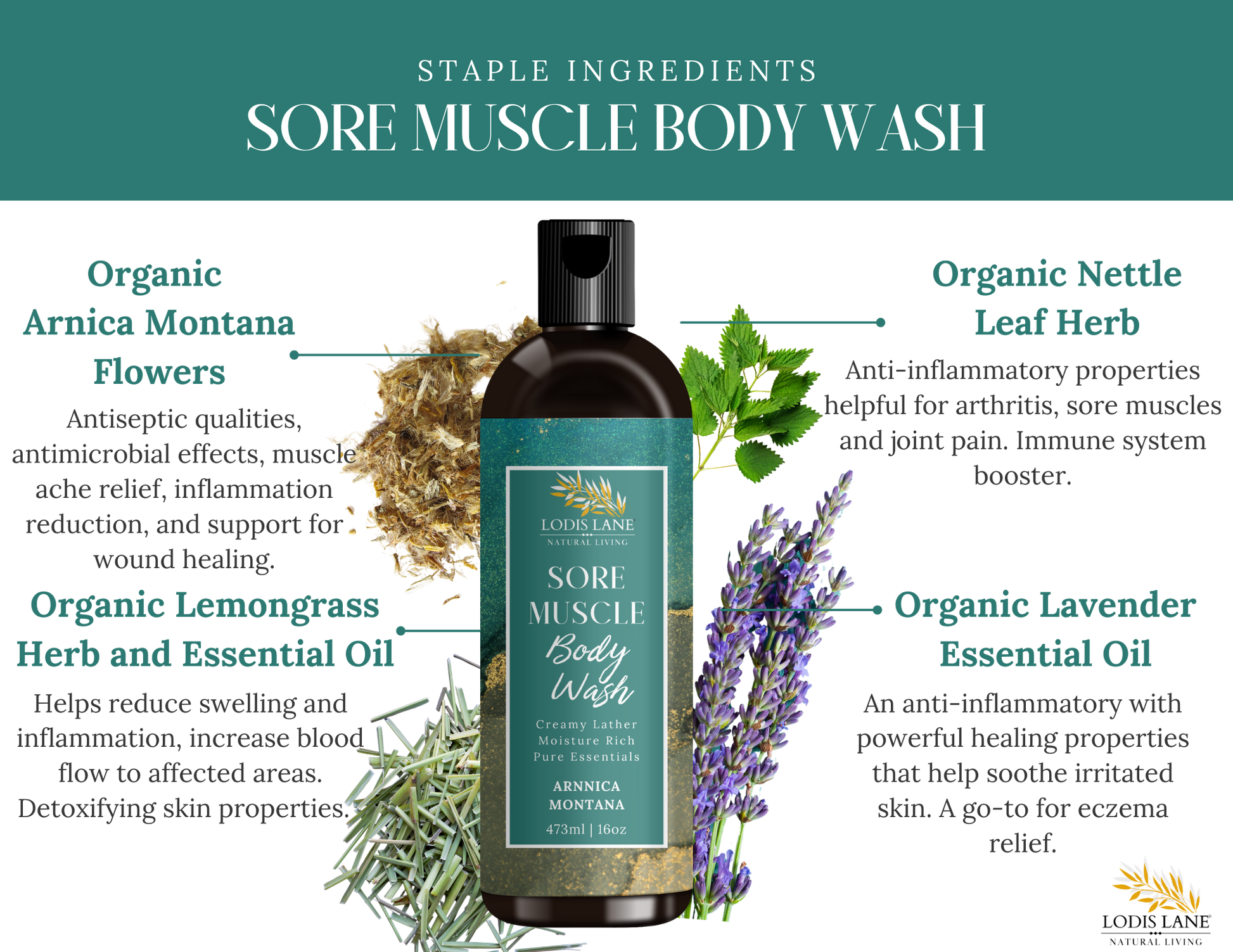 Arnica Montana Sore Muscle Body Wash - MAGM Enterprises LLC