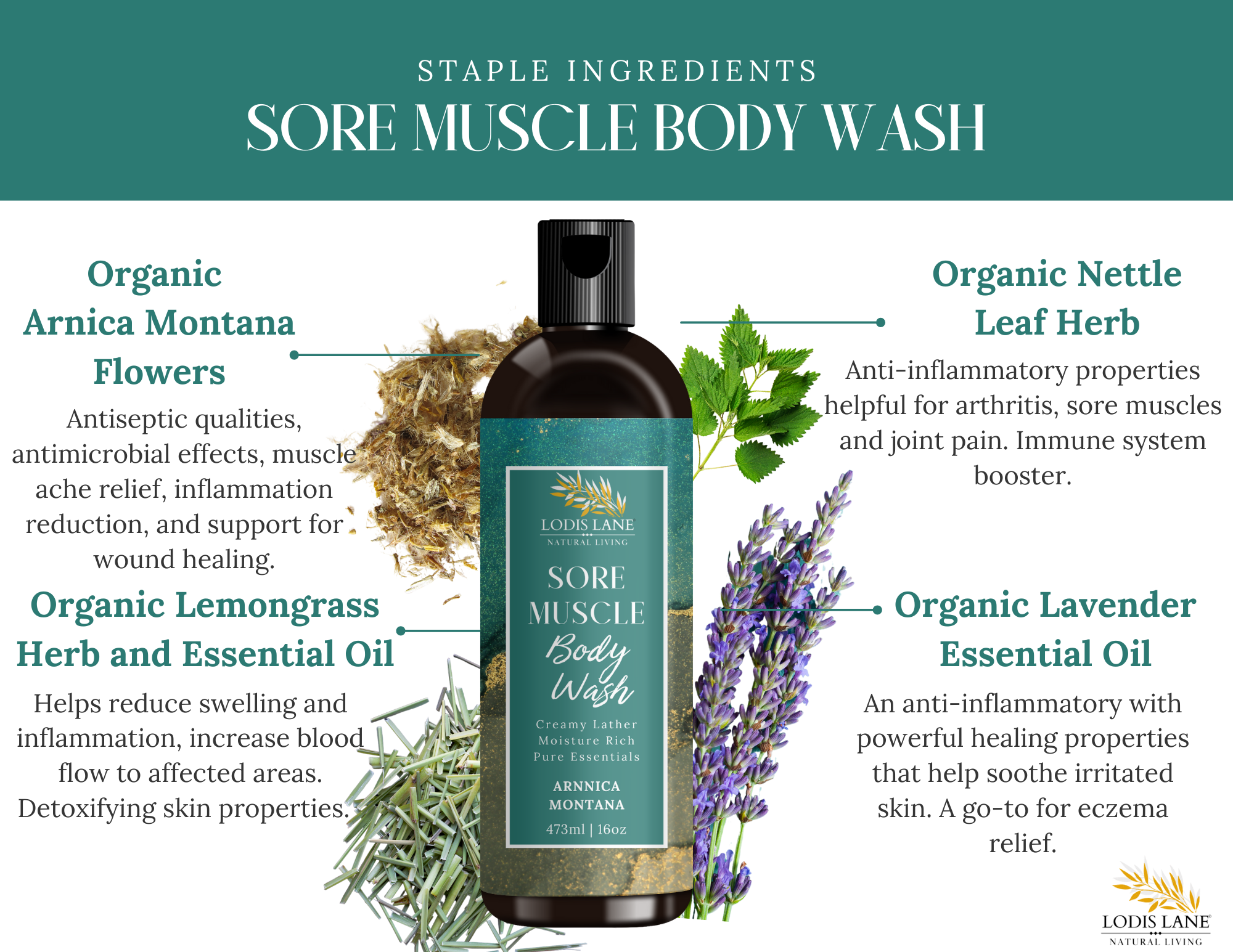 Arnica Montana Sore Muscle Body Wash - MAGM Enterprises LLC