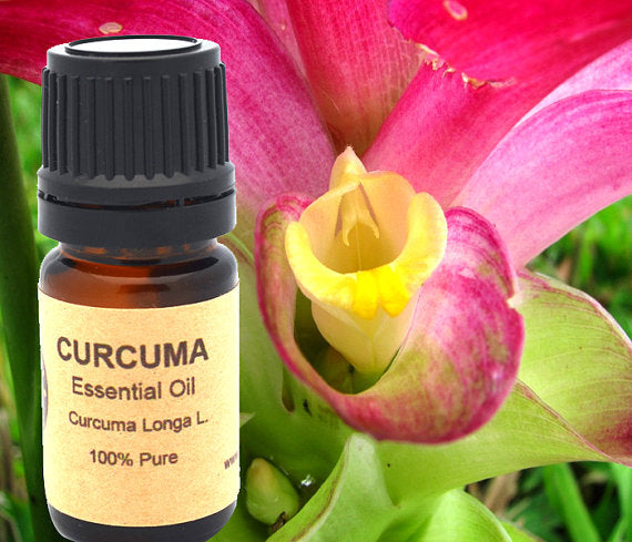 Turmeric Curcuma Essential Oil 10ml or 15 ml - MAGM Enterprises LLC