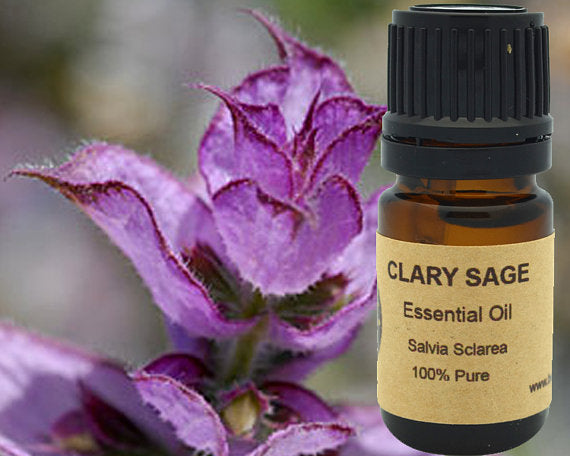 Clary Sage Essential Oil 15 ml - Stress Relief - MAGM Enterprises LLC